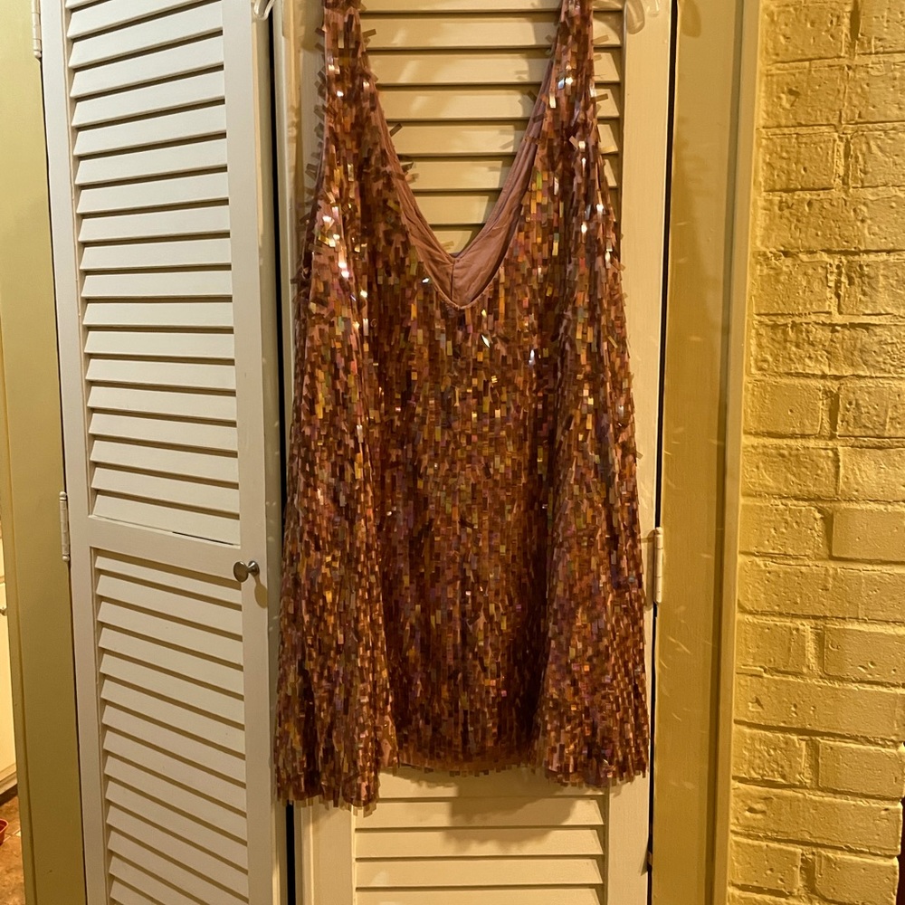Free People Shimmery Dress 🪩